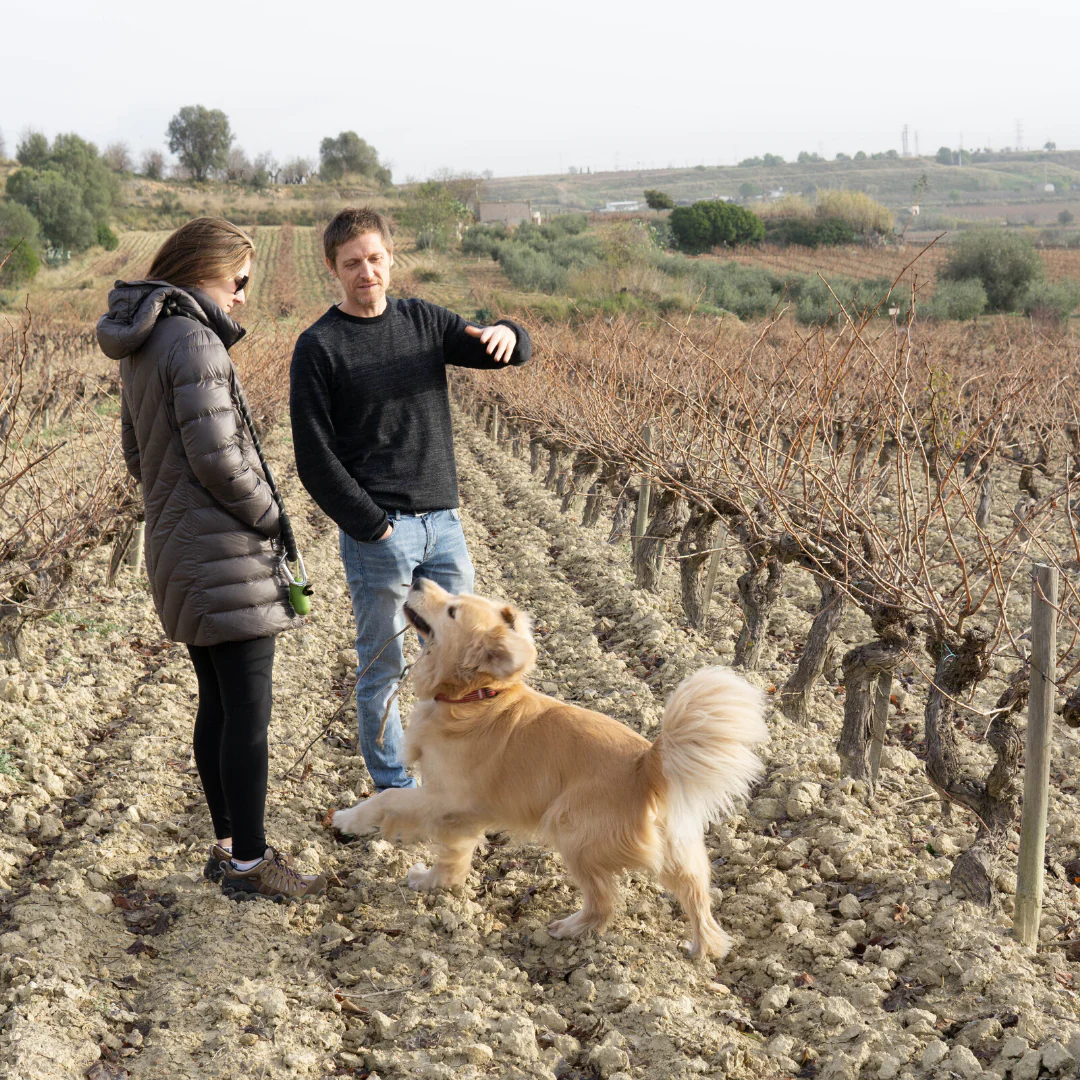 Lluerna 2021 - Image 3