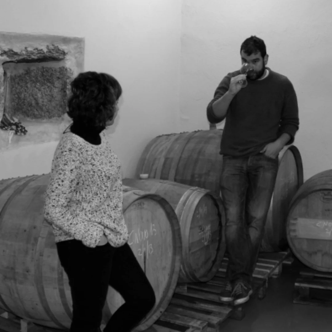 Benje Tinto 2023 - Image 4