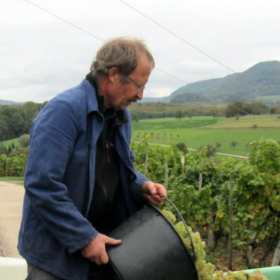 Da steppt der Bär Pet Nat 2019 - Image 4