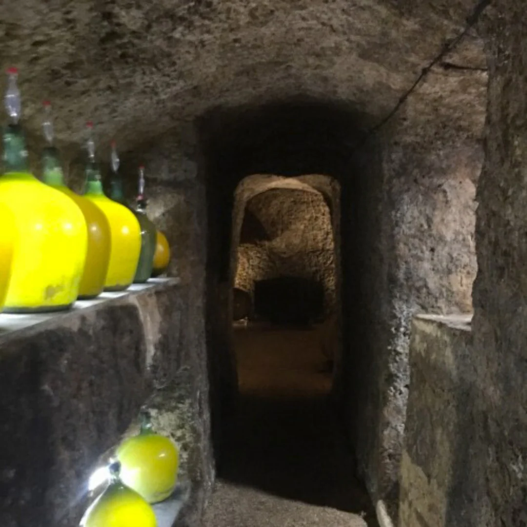 Correcaminos Rosado 2019 - Image 4