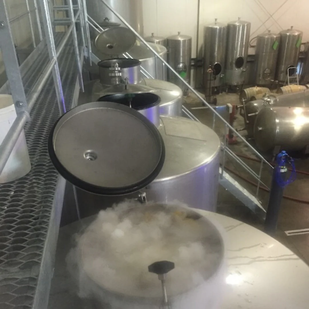 Pacific Potion 2017 - Image 5