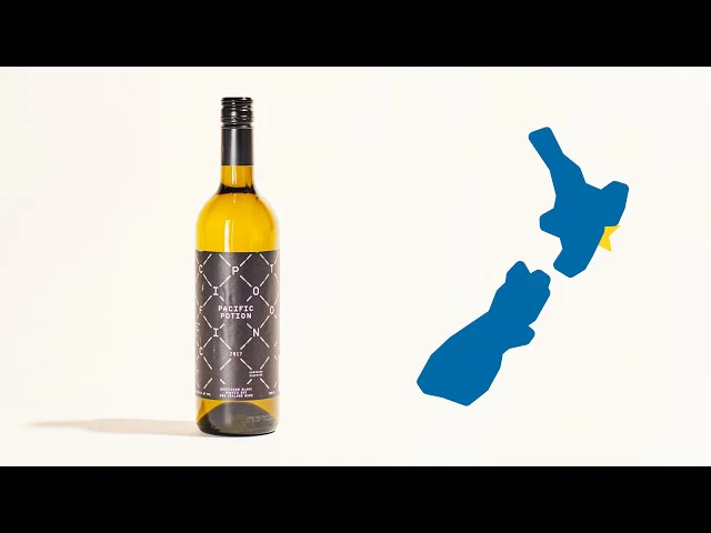 Pacific Potion 2017 - Image 6