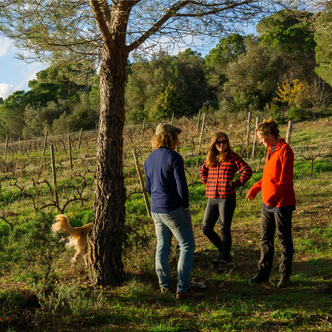 Juicy 2019 - Image 5