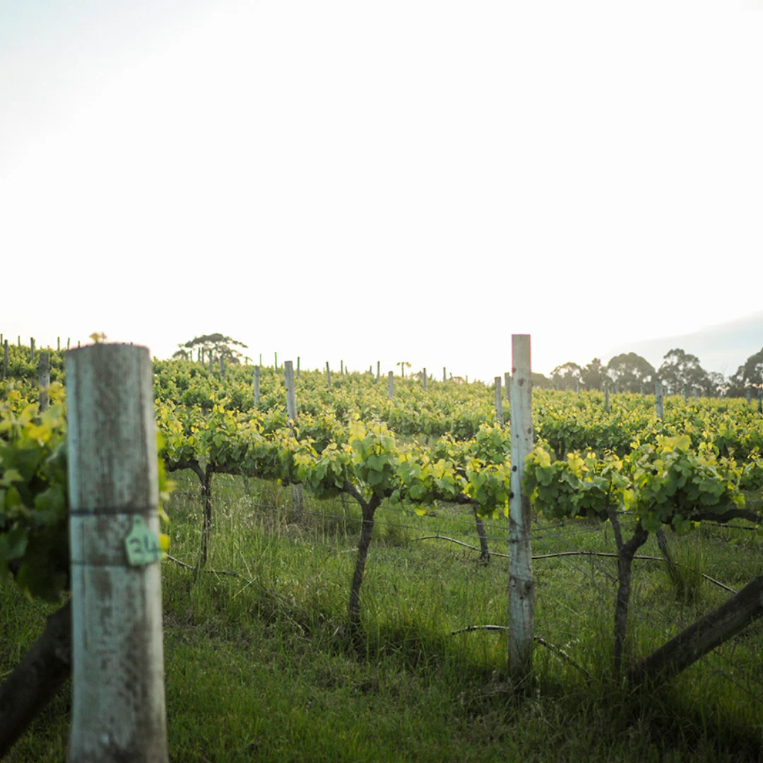 Halfway to Heaven 2018 - Image 3