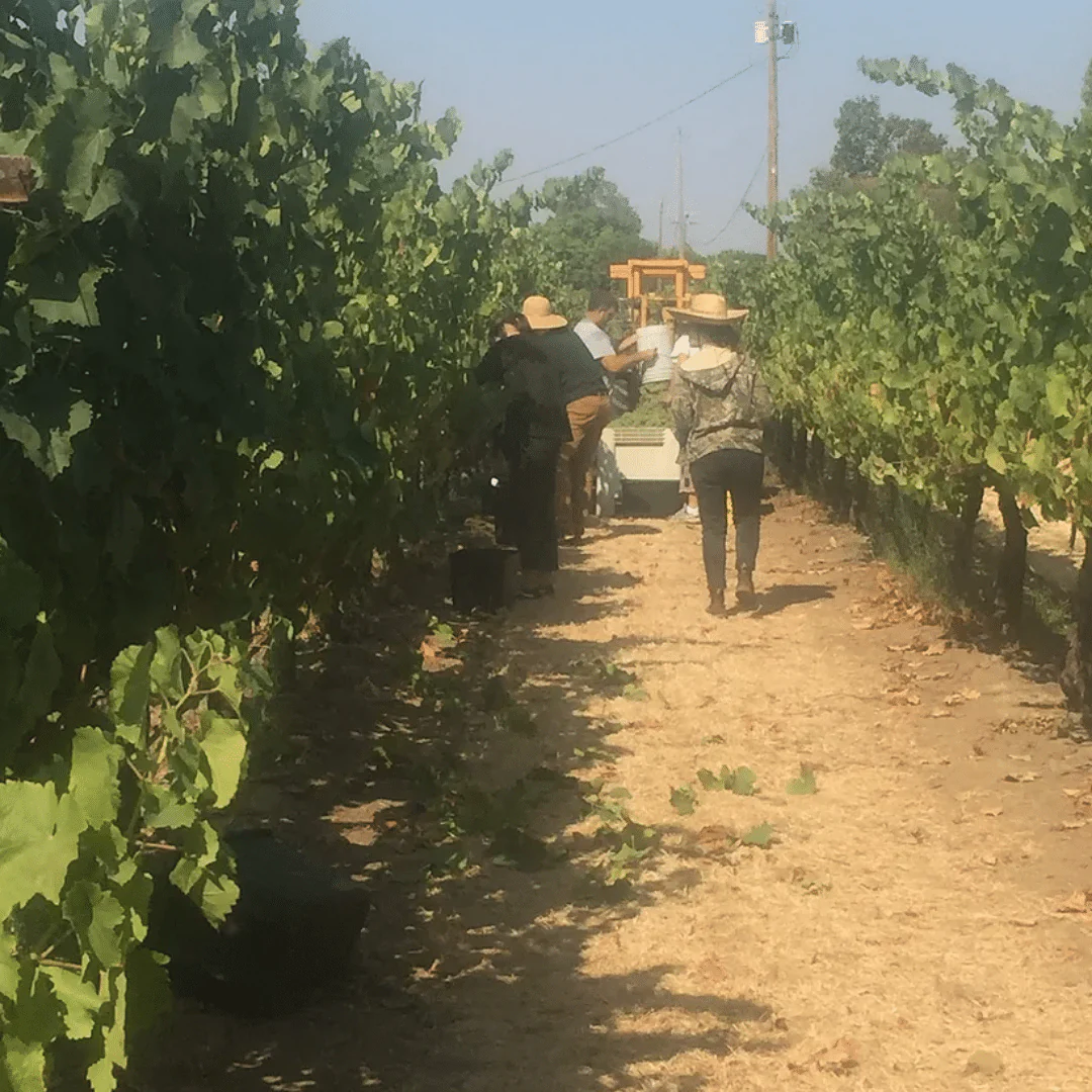 Contrapposto 2019 - Image 5